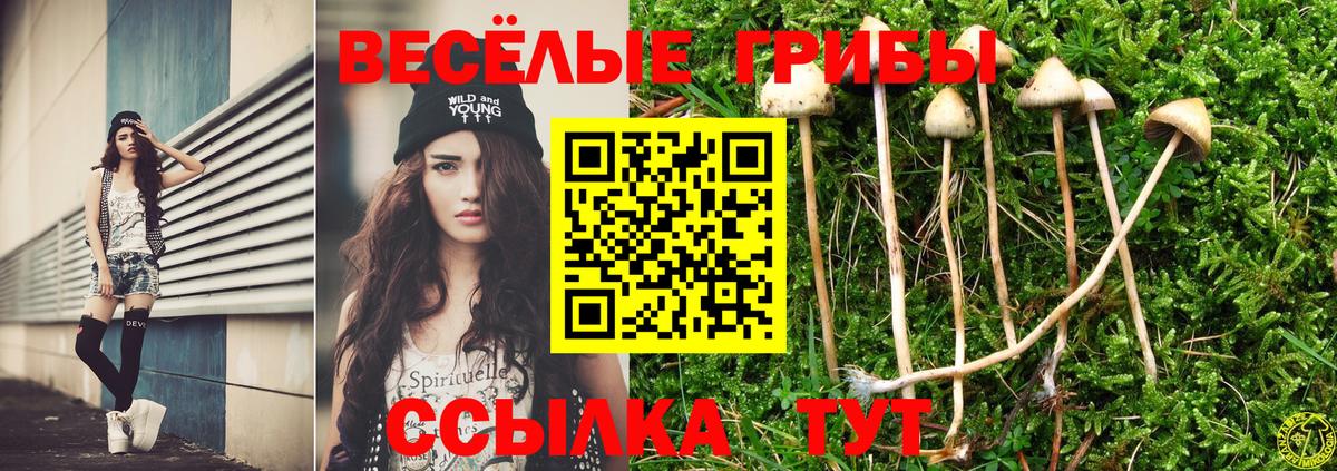 Псилоцибиновые грибы мицелий  Вход с VPN  Кольчугино 